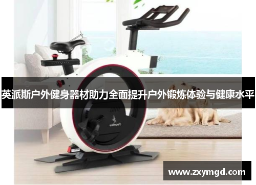 英派斯户外健身器材助力全面提升户外锻炼体验与健康水平