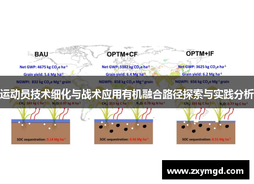 运动员技术细化与战术应用有机融合路径探索与实践分析