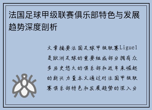 法国足球甲级联赛俱乐部特色与发展趋势深度剖析