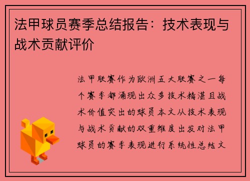 法甲球员赛季总结报告：技术表现与战术贡献评价