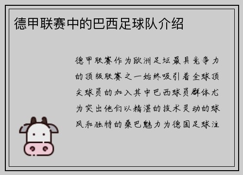 德甲联赛中的巴西足球队介绍