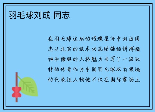 羽毛球刘成 同志