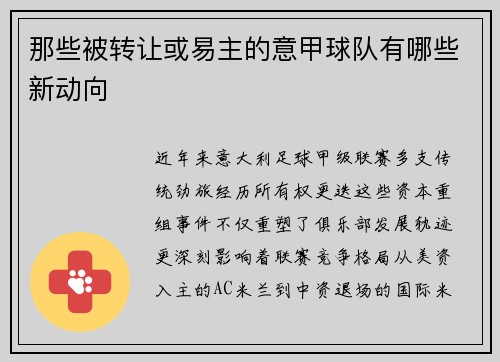 那些被转让或易主的意甲球队有哪些新动向